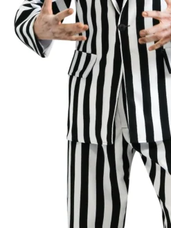 Rubie's Beetlejuice Collector's Edition Costume For Adults - Warner Bros Beetlejuice