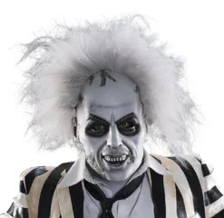 Rubie's Beetlejuice Overhead Mask With Hair For Adults - Warner Bros Beetlejuice