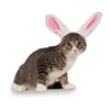 Rubie's Pets Bunny Ears Pet Headband Accessory