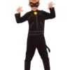 Rubie's Cat Noir Miraculous Ladybug Costume For Kids - MLB