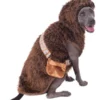 Rubie's Chewbacca Big Dogs Pet Costume - Disney Star Wars Pets 2 Rubie's Chewbacca Big Dogs Pet Costume - Disney Star Wars Pets