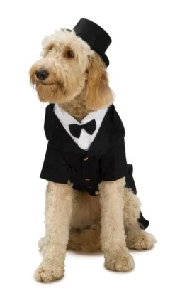 Rubie's Dapper Dog Pet Costume