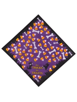 Rubie's Does Tricks For Treats Pet Bandana Pets