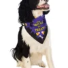 Rubie's Does Tricks For Treats Pet Bandana Pets 2 Rubie's Does Tricks For Treats Pet Bandana Pets