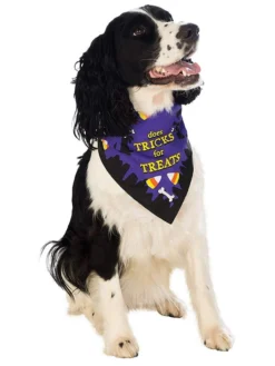 Rubie's Does Tricks For Treats Pet Bandana Pets