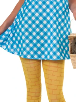 Rubie's Dorothy Costume For Teens - Warner Bros The Wizard Of Oz
