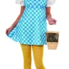 Rubie's Dorothy Costume For Teens - Warner Bros The Wizard Of Oz