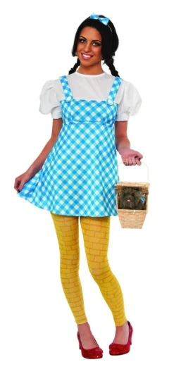 Rubie's Dorothy Costume For Teens - Warner Bros The Wizard Of Oz