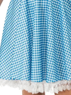 Rubie's Dorothy Deluxe Costume For Teens And Adults - Warner Bros The Wizard Of Oz