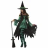 California Costume Collections Emerald Green Witch Costume For Adults
