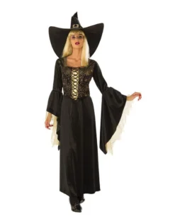Rubie's Golden Web Witch Costume For Adults