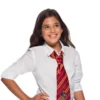 Rubie's Gryffindor Tie - Warner Bros Harry Potter Adults 1 Rubie's Gryffindor Tie - Warner Bros Harry Potter Adults