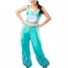 Rubie's Jasmine Deluxe Costume For Adults - Disney Aladdin 2 Rubie's Jasmine Deluxe Costume For Adults - Disney Aladdin