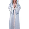 Rubie's Mary Biblical Costume For Adults
