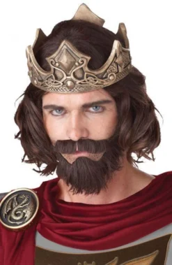 California Costume Collections Medieval King Wig & Beard Set For Adults