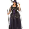 Rubie's Midnight Witch Plus Size Costume For Adults