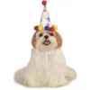 Rubie's Paw Print Birthday Boy Pet Hat Pets
