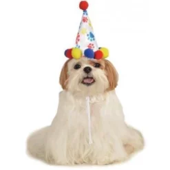 Rubie's Paw Print Birthday Boy Pet Hat Pets