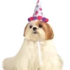 Rubie's Paw Print Birthday Girl Pet Hat 2 Rubie's Paw Print Birthday Girl Pet Hat