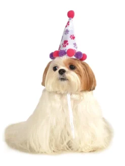 Rubie's Paw Print Birthday Girl Pet Hat