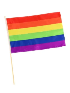 Rubie's Pride Rainbow Flag