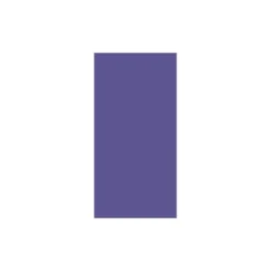 Amscan Purple Paper Favor Bags