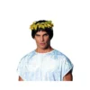 Costume Culture By Franco Llc Roman Wreath Headpiece For Adults