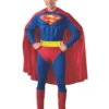 Rubie's Superman Moulded Muscle Chest Costume For Adults - Warner Bros DC Comics