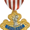 Rubie's Accessories The Wizard Of OZ - Cowardly Lion's Badge Of Courage