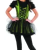 Rubie's Wicked Witch Of The West Costume For Adults - Warner Bros The Wizard Of Oz