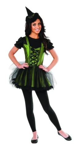 Rubie's Wicked Witch Of The West Costume For Adults - Warner Bros The Wizard Of Oz