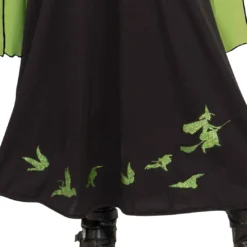 Rubie's Wicked Witch Of The West Costume For Kids - Warner Bros The Wizard Of Oz