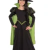 Rubie's Wicked Witch Of The West Costume For Kids - Warner Bros The Wizard Of Oz