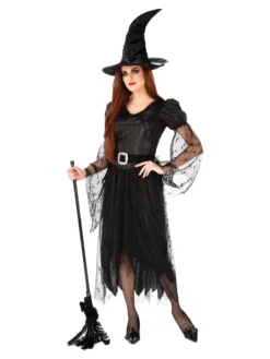 Rubie's Witch Of Darkness Costume For Adults