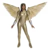 Rubie's Wonder Woman Golden Armour Wings - Warner Bros Wonder Woman 1984 Adults