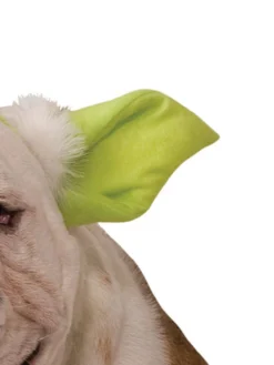 Rubie's Yoda Pet Headband - Disney Star Wars Pets