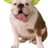 Rubie's Yoda Pet Headband - Disney Star Wars Pets