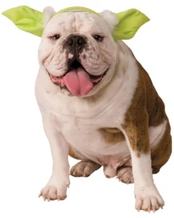Rubie's Yoda Pet Headband - Disney Star Wars Pets