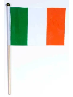 Forum Novelties Irish Flag With Stick Accessories
